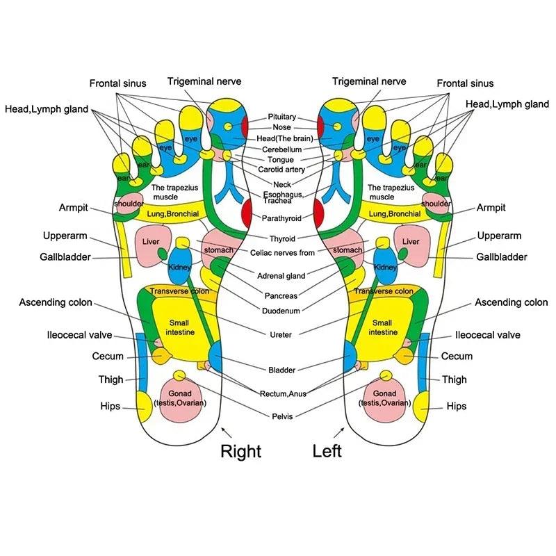 LymphEase - Ferramenta de Drenagem Linfática Profissional